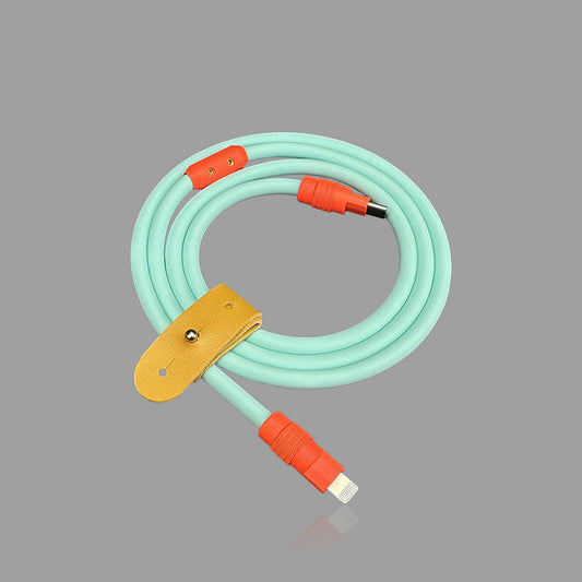 Dopamine Color USB-C to Lightning Fast Charging Cable, Thick Soft Silicone iPhone Charger Cord