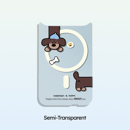 세린 블루 컬렉션