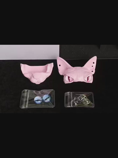 Sphynx Cat AirPods Case